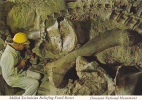 Dinosaur National Monument, Utah/Colorado - Andere & Zonder Classificatie