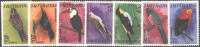 SURINAM   - BIRDS   - **MNH - 1979 - Verzamelingen, Voorwerpen & Reeksen