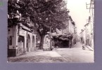 83 - La Roquebrussanne - Grand'rue - Editeur: Caujolle - La Roquebrussanne