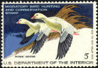 US RW44 Mint Never Hinged Duck Stamp From 1977 - Duck Stamps