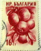 Bulgaria 1956 Fruits Apples 16s - Used - Gebraucht