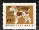 BULGARIE 1964 ** CAT EURO 1.5 - Ungebraucht