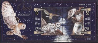 NIUAFO'OU (Tonga)  -Hiboux Au Clair De Lune - BF Neuf*** (MNH SHEET) édition Limitée - Tonga (1970-...)