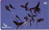 TARJETA DE BRASIL DE VARIOS GUACAMAYOS (8-8) (BIRD-PAJARO-PARROT)  WWF - Perroquets