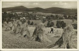 AK Erlbach Vogtland Sommerfrische Heuernte 1936 Markneukirchen #04 - Erlbach-Kirchberg