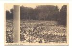 3   -   Les Herbiers   -   La Foule Pendant La Messe  -  4/08/36 - Les Herbiers