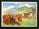 SPORT -STADIO -IPPODROMO DI MAIA -MERANO -F.G. - Reitsport