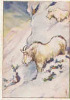 Image Ancel N°20 / Chasse Aux Fauves - Chèvres Sauvages Dans La Neige Des Montagnes / Animaux Goat Animal  // IM 5/375 - Other & Unclassified