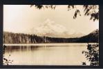 RB 788 - Real Photo Postcard - Mount Hood From Lost Lake Oregon USA - Andere & Zonder Classificatie