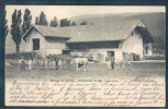 Maison De Ferme, Orphelinat Borel, Dombresson, Animée, Vache, - Dombresson 