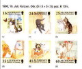 Alderney / Animals / Domestic Cats - Alderney