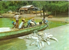 ILE DE CAYENNE - Retour De Pêche Au"Degrad Des Cannes" - Cayenne