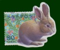 Collection LAPIN - LIEVRE 11 TP Diff.Obl. - Conigli