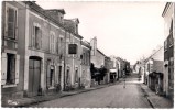 CHATEAUNEUF-SUR-SARTHE HOTEL DU CHEVAL BLANC ET LA GRANDE-RUE 49 - Chateauneuf Sur Sarthe