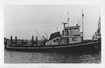 Remorqueur WILLEMSKADE - Photo Ancienne Et Authentique - Tugboats