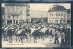 Concour De Taureaux à Bulle, Animée, - Bulle