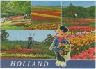 Pays-Bas Lisse  "Keukenhof "  Multi Vues Moulins  Champs DeTulipes Petit Jardinier  CPSM  TBE - Lisse