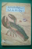 PEG/42 B.Morris Parker - G.K.McCosh ANIMALI MARINI Ed.Janus 1957/CONCHIGLIE/SHELL - Animaux De Compagnie