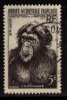 A.O.F., 5f Chimpanzee, Nature Protection, Animal - Schimpansen