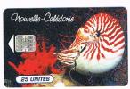 NUOVA CALEDONIA (NEW CALEDONIA)  - OPT  (CHIP) - 1996 SHELL: NAUTILUS MACROMPHALUS  - USED - RIF.3704 - Poissons