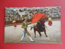 Bull Fighting-- Vicente Pastor  Pasando De Muleta    Ca 1910  ----    --------- Ref 350 - Taureaux