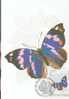 HONGRIE CARTE MAXIMUM NUM.YVERT 2911 PAPILLON INSECTE - Maximum Cards & Covers