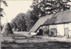 Genk  -  Provinciaal Domein Van Bokrijk  -  Oude Hoeve - Genk