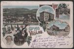 Austria - Gruss Aus Voslau - Wein Advertise - Litho - Baden Bei Wien