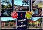 88 Souvenir De SENONES, Vues Multiples, Blasons - Senones