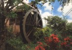 VENEZUELA COLONIA TOVAR : Antiguo Molino De Agua  Old Watermill Moulin à Eau Wasser Mühle - Venezuela