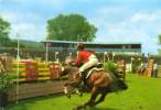 Saut De Haie    (31600) - Horse Show