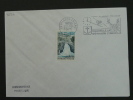 Waterfall Ski Postmark On Cover 40119 - Agua