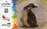 TARJETA DE ISRAEL DE UN PINGUINO (PINGUINO-PENGUIN) - Pinguine