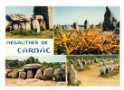 MEGALITHES DE CARNAC : "Célèbre Par Ses Alignements Du Ménec Et De Kermario Qui Ne Comptent Pas Moins De 2000 Menhirs.." - Dolmen & Menhirs