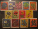 GERMANY Christmas Tuberculosis Tuberkulose Tuberculose Medicine Flora 13 Poster Stamp Label Vignette Viñeta Colle - Collections (en Albums)