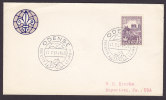 Denmark Special Cancel ODENSE Eventyr Lejren 1957 Scouts Jamboree Pfadfinder - Storia Postale