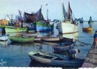 LESCONIL . BATEAUXDE PECHE DANS UN PORT BIGOUDEN ( Beau Timbre ) - Lesconil