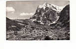 Grindewald (1037m) Mit Wetterhorn (3703m) - Wald