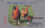 Télécarte Japon / 350-2560 - Oiseaux Oiseau - COQ & Poule - ROOSTER COCK Bird Japan Phonecard - HAHN - 180 - Gallináceos & Faisanes