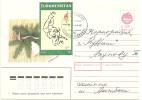 Cover Turkmenistan ( Atlanta 96  Stamp) - Turkmenistan