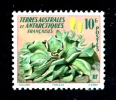 T.A.A.F. N°11 Flore D´Outre-mer. "Pringléa" - Unused Stamps