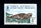 T.A.A.F. N°13B Faune Léopard De Mer - Unused Stamps