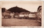 FORBACH PLACE DU MARCHE ET LE CHATEAU 57 MOSELLE - Forbach