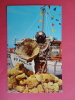 Tarpon Springs Fl Sponge Diver   Early Chrome       -----   ====  Ref 363 - Miami Beach