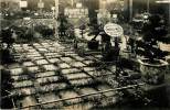 Saint Cloud : Jardin Japonais Charles  Weiss , Carte Photo - Saint Cloud