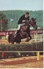Olympic 1980 Moscow Riding Equestrian - Paardensport