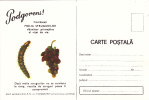 Romania 1974 Grapes,Vineyard Manna,rare Stationery Unused PC. - Vins & Alcools