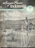 Tijdschrift The Economic Review Of Indonesia N° 1 -1951 - Wissenschaften