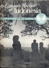 Tijdschrift The Economic Review Of Indonesia N° 2 -1951 - Ciencias
