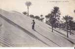 COLOMB BECHAR / LES DUNES / ANIMEE - Bechar (Colomb Béchar)